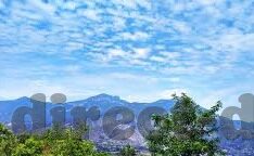 麻豆阿宾视频-麻豆阿宾视频的隐秘与现实